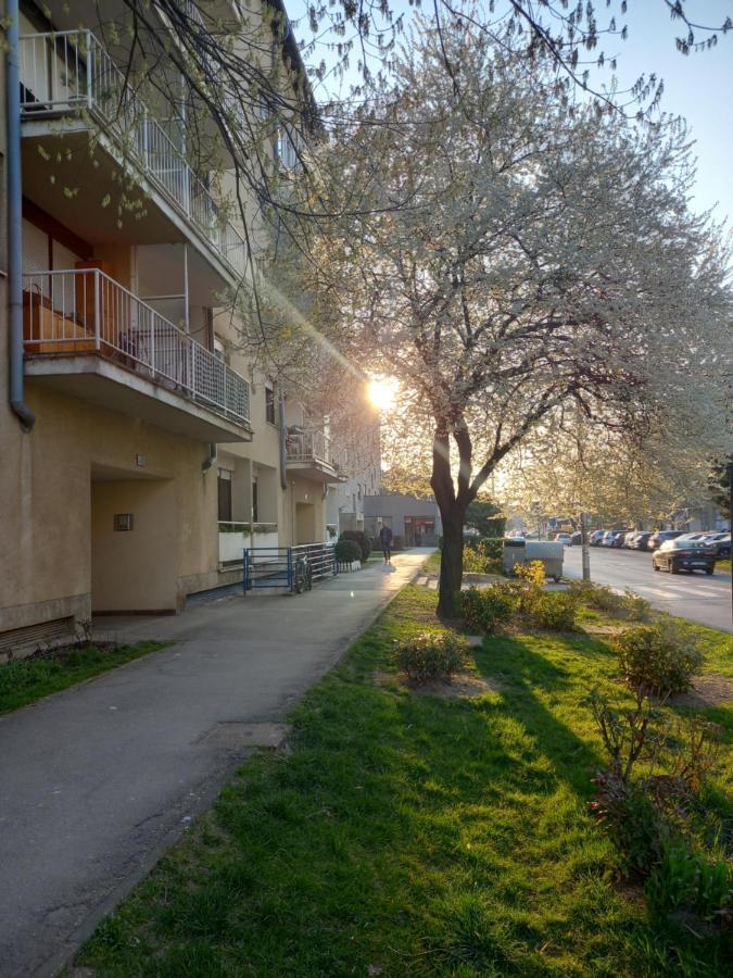 זאגרב Apartment Jarun Comfort מראה חיצוני תמונה